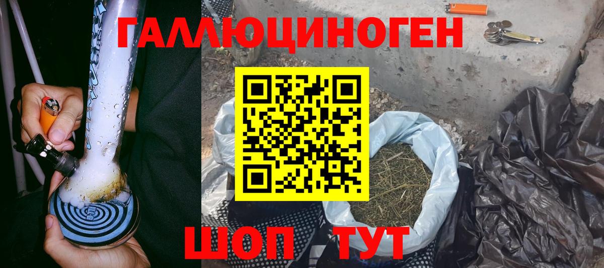 Галлюциногенные грибы Cubensis Одинцово